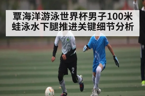 覃海洋游泳世界杯男子100米蛙泳水下腿推进关键细节分析（kaiyun）